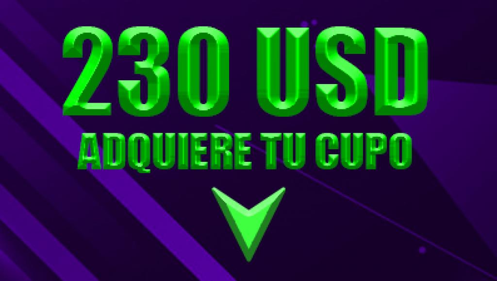 PAQUETE INTERNACIONALES BASICO $230 USD